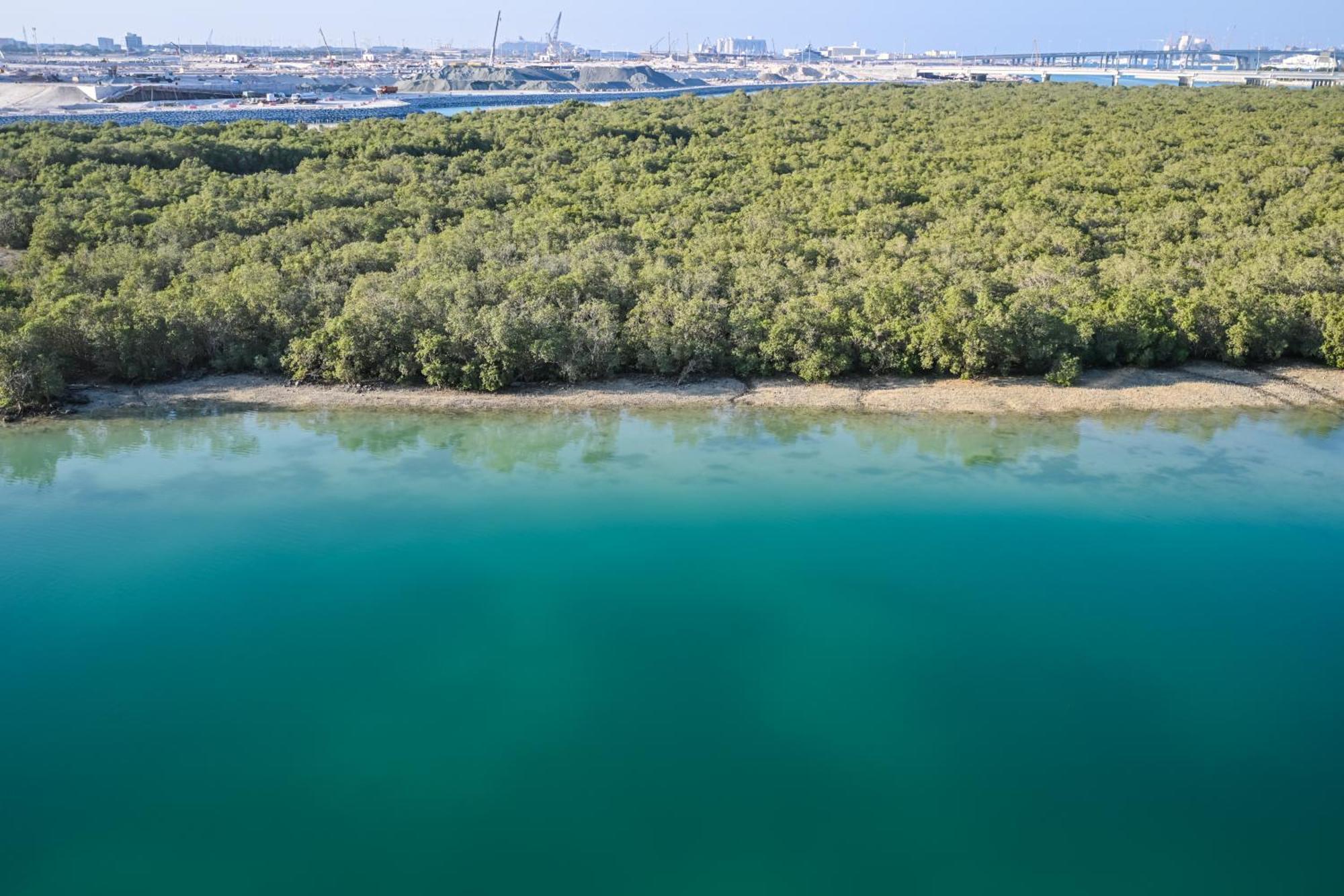 Full Sea & Mangroves View - Al Reem - 5 People Apartment