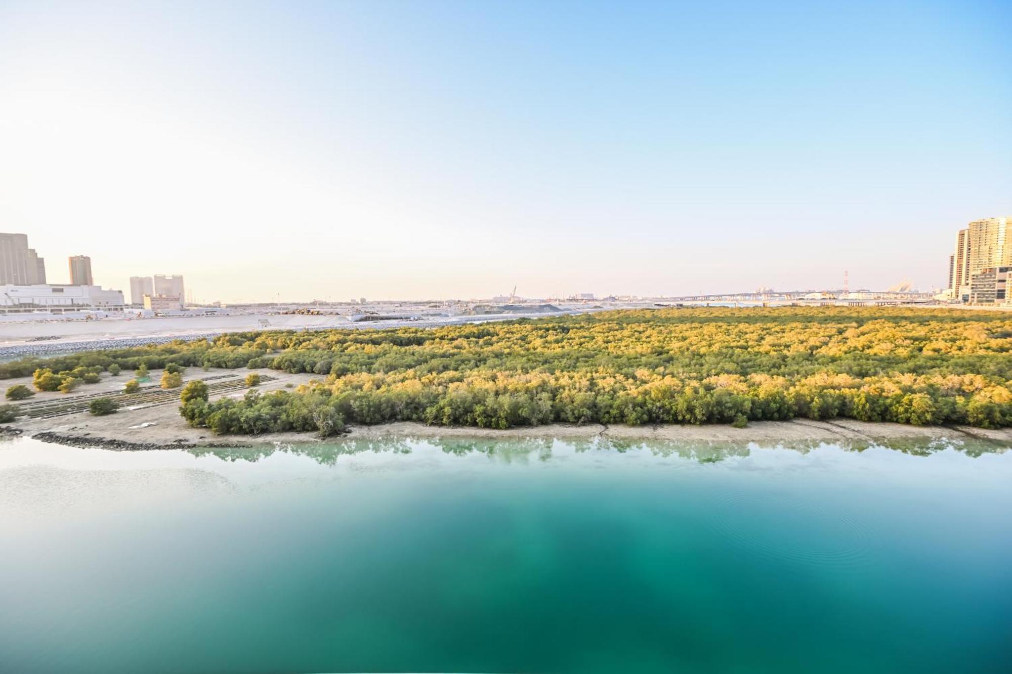 Apartment Full Sea & Mangroves View - Al Reem - 5 People